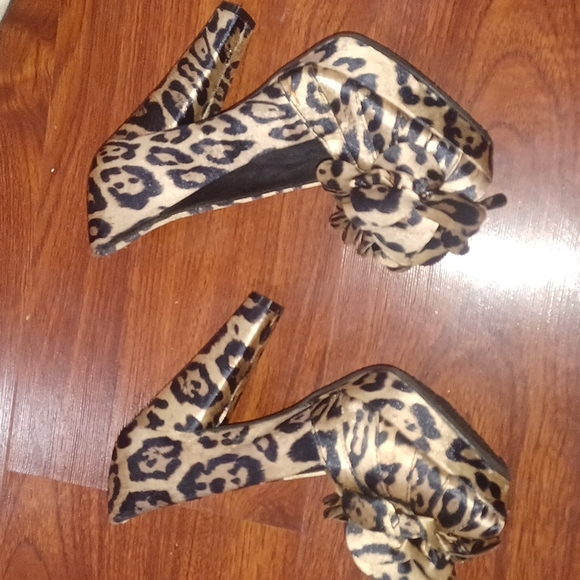 ROCKETDOG HEALS - Picture 2 of 6